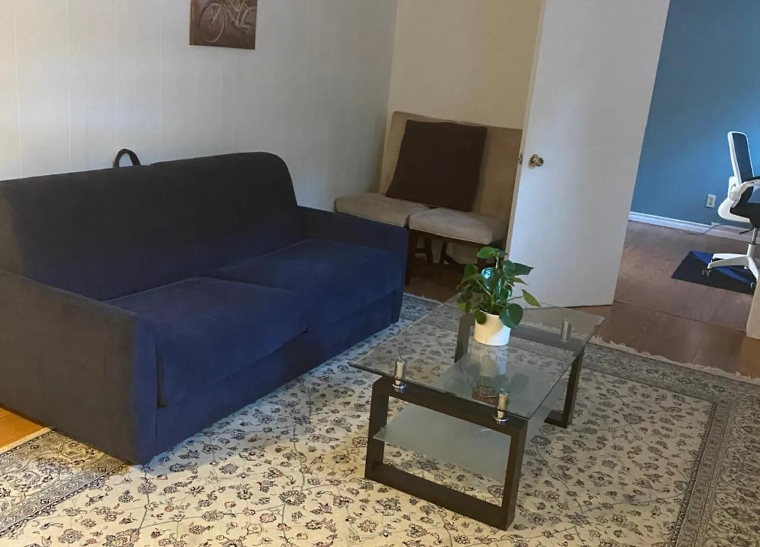 Apartment Spacious Guest House -Walkout Basement- 4 Guests! -Dedicated Workspace-No Pet! No Cooking! No Smoking! No Party! Ottawa